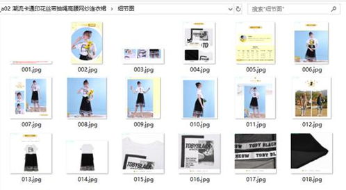 高效管理有货商品图片 分类下载与计算机软硬件开发策略